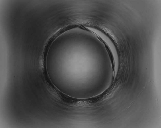 X0000093110399200710101025