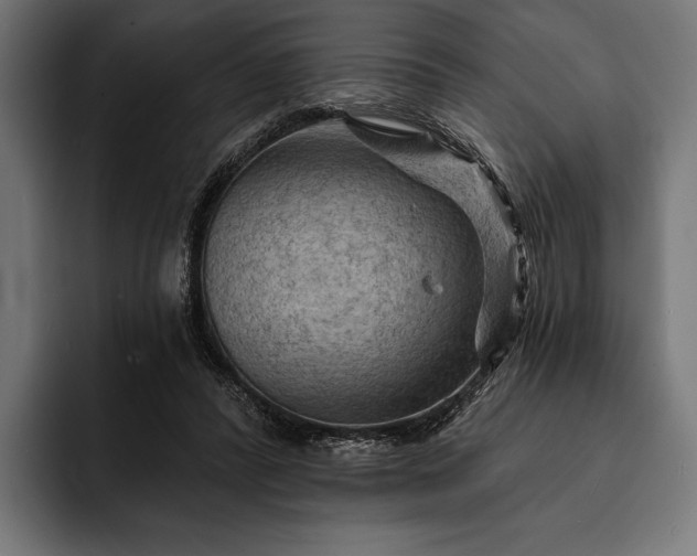 X0000093110400200710101025