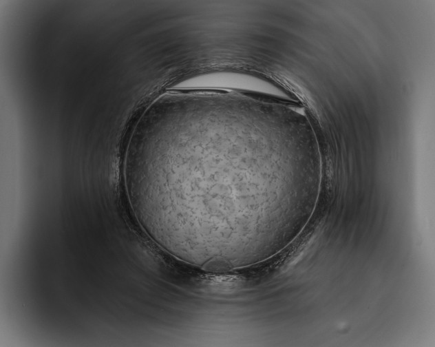 X0000093110401200710101025