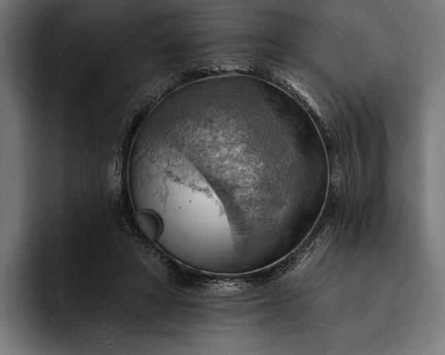 X0000093110402200710101025