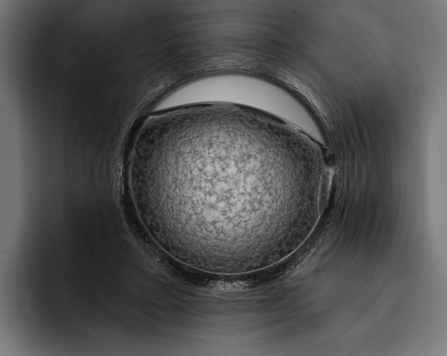 X0000093110403200710101025