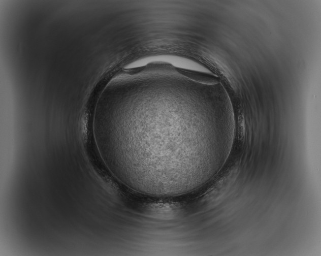 X0000093110404200710101025