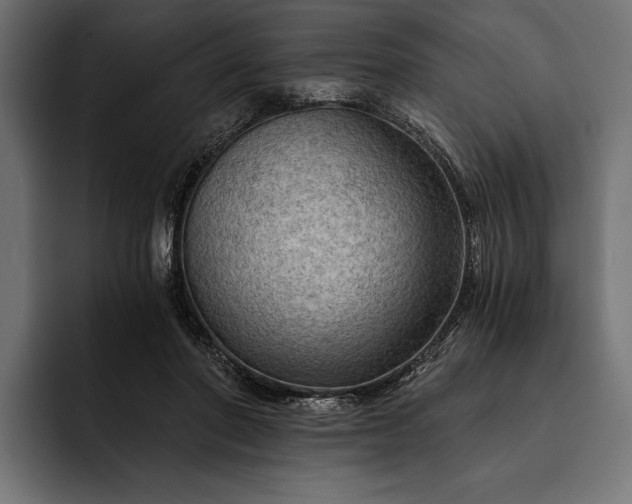 X0000093110406200710101025