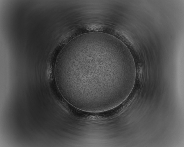 X0000093110408200710101025