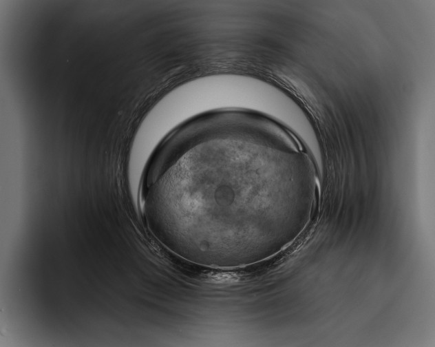 X0000093110409200710101025