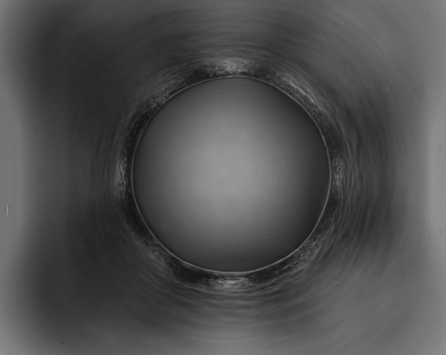 X0000093110410200710101025