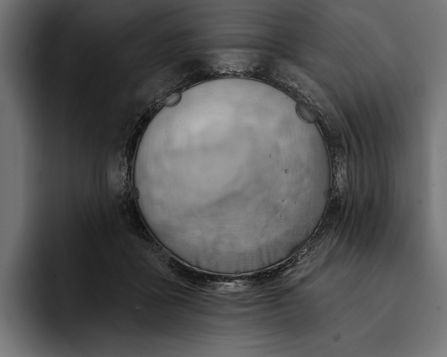 X0000093110411200710101025