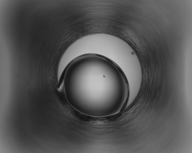 X0000093110412200710101025