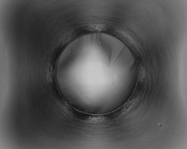 X0000093110414200710101025