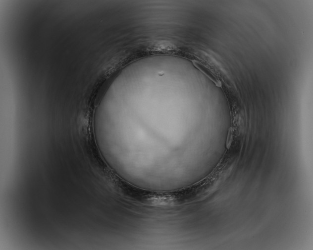 X0000093110415200710101025