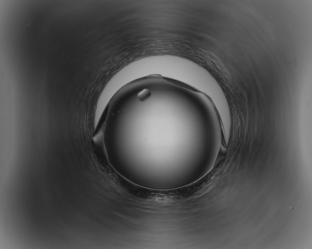 X0000093110416200710101025