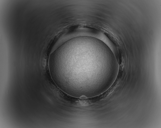 X0000093110417200710101025