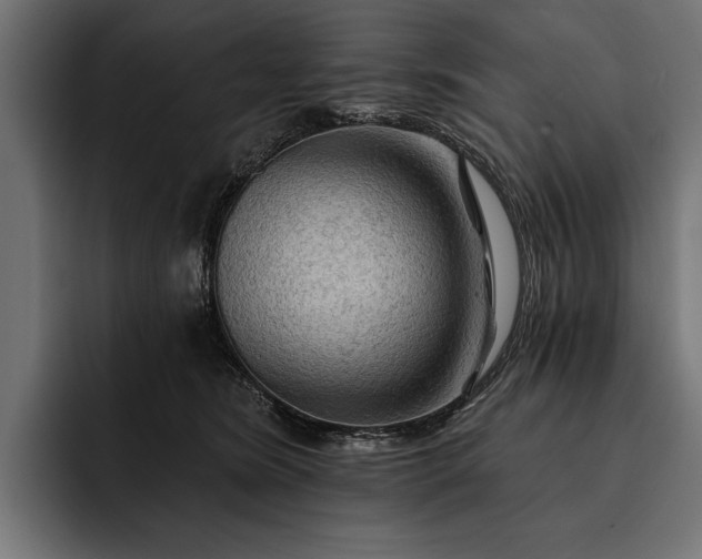 X0000093110420200710101025