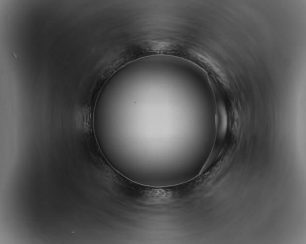 X0000093110421200710101025