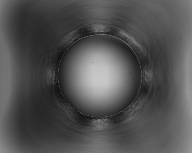 X0000093110422200710101025