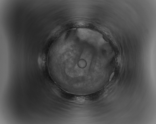 X0000093110423200710101025