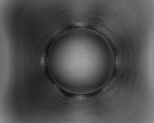 X0000093110424200710101025