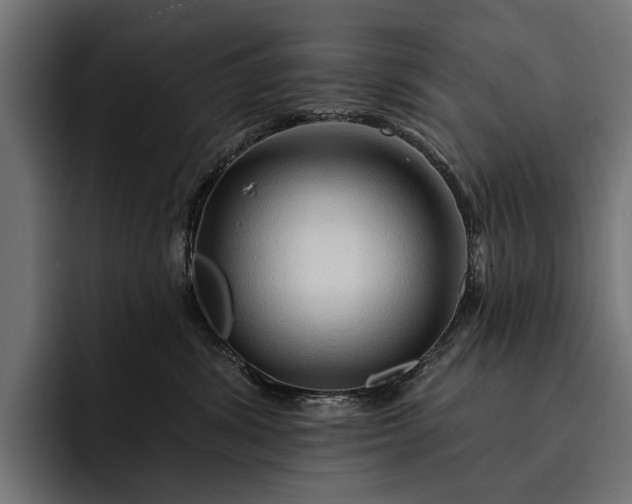 X0000093110428200710101025