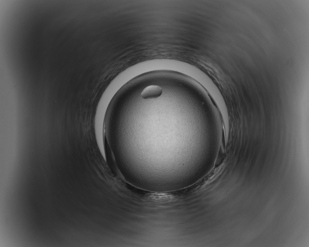 X0000093110429200710101025