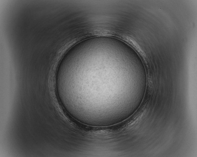 X0000093110433200710101024