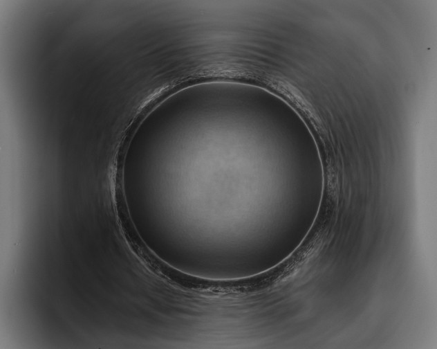 X0000093110434200710101024