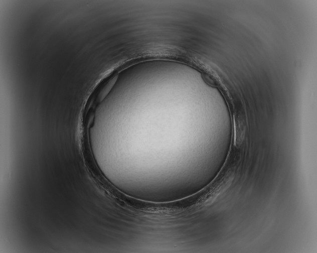 X0000093110435200710101024