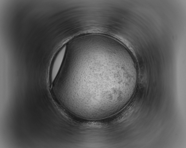 X0000093110437200710101024