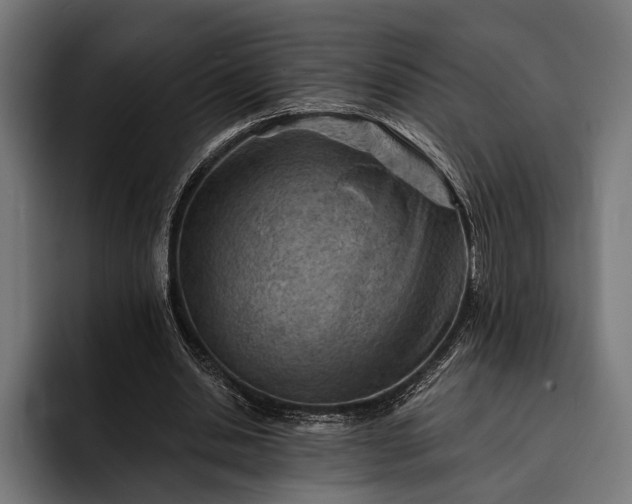 X0000093110438200710101025