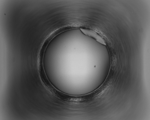 X0000093110440200710101025