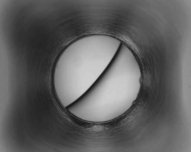 X0000093110441200710101025