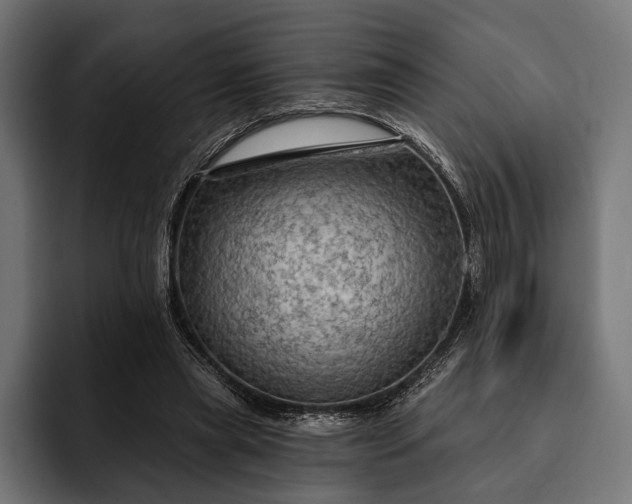 X0000093110445200710101025