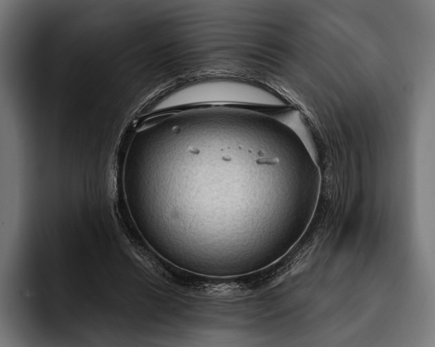 X0000093110446200710101025