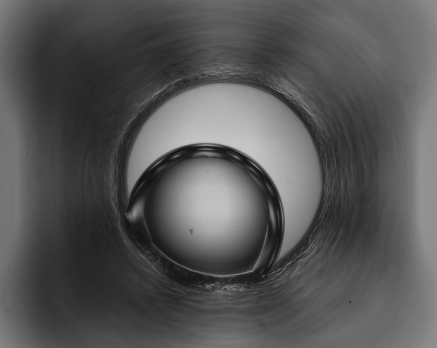 X0000093110448200710101025