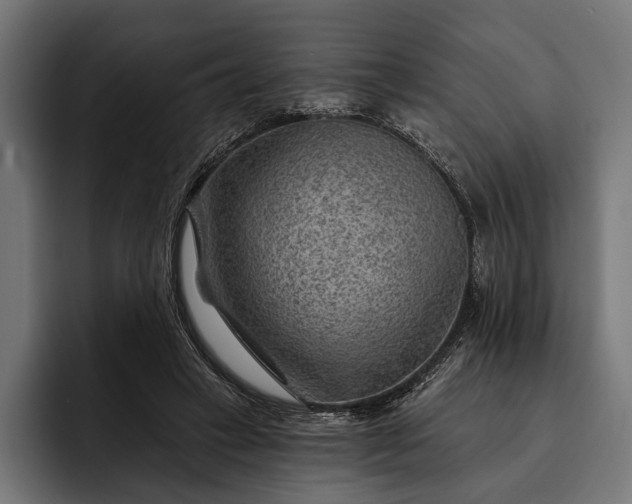 X0000093110449200710101025