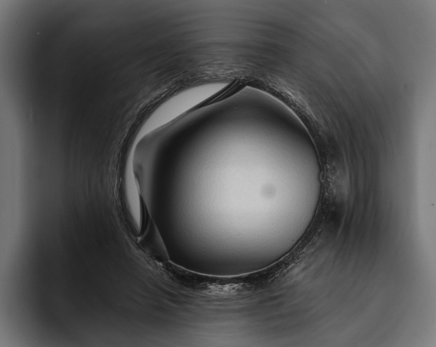 X0000093110450200710101025