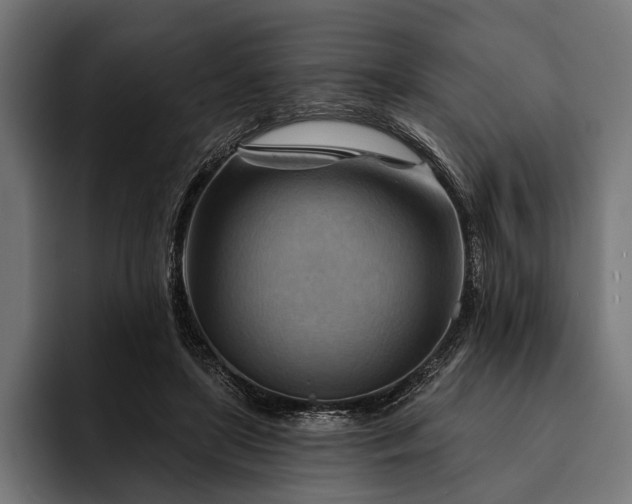 X0000093110451200710101025