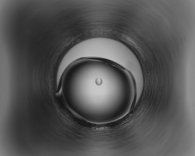 X0000093110452200710101025