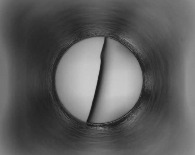 X0000093110453200710101025