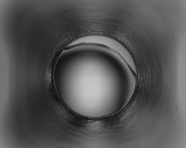 X0000093110454200710101025