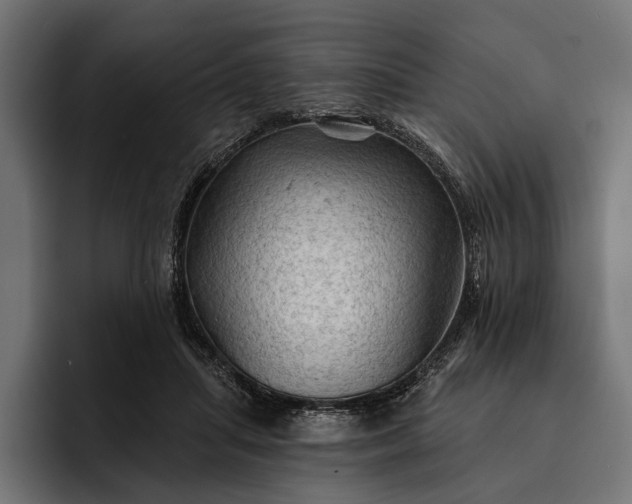 X0000093110455200710101025