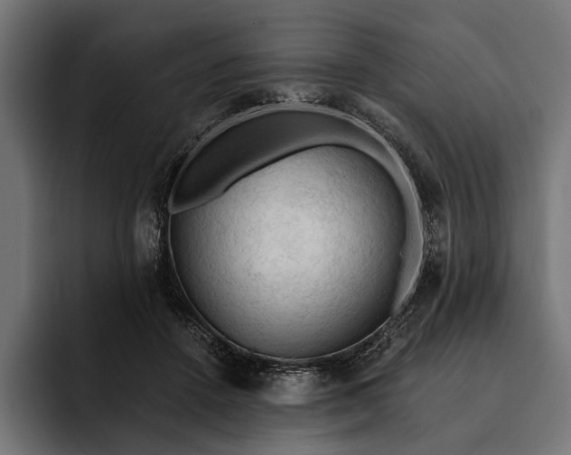 X0000093110456200710101025