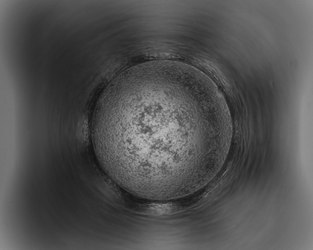 X0000093110457200710101025