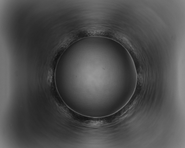 X0000093110458200710101025