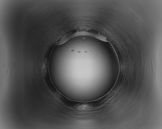 X0000093110460200710101025