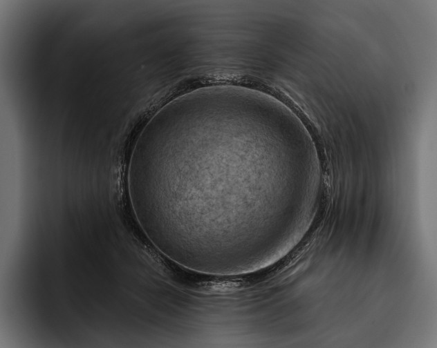 X0000093110462200710101025