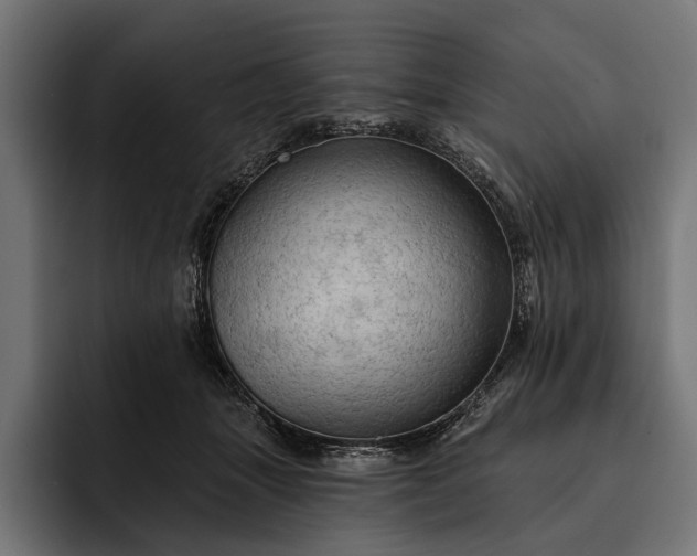 X0000093110463200710101025