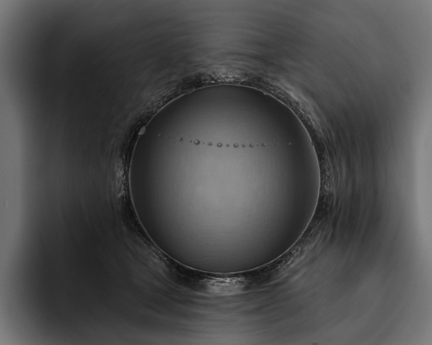 X0000093110465200710101025