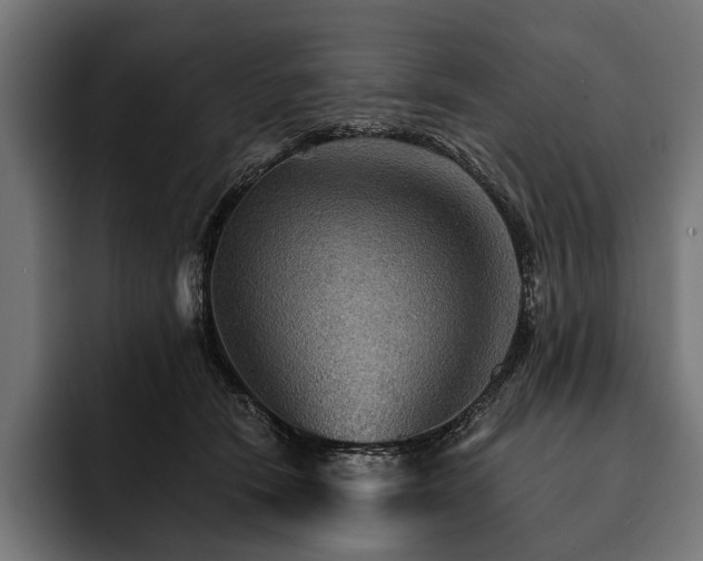 X0000093110466200710101025