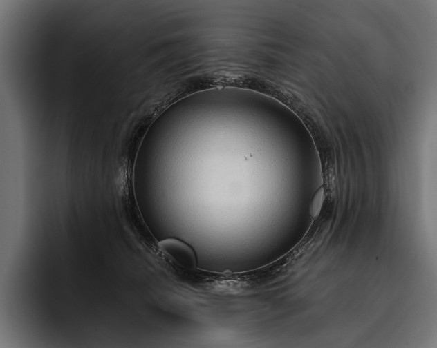 X0000093110468200710101025