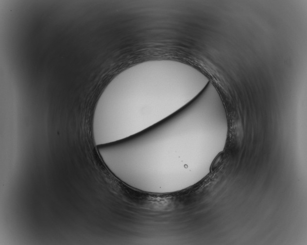 X0000093110469200710101025